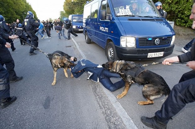 police-dog-attack-denmark